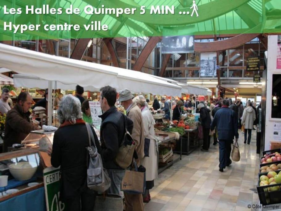 Oo Le Jardin Oo Paisible Studio Equipe Et Bien Place Quimper Bagian luar foto